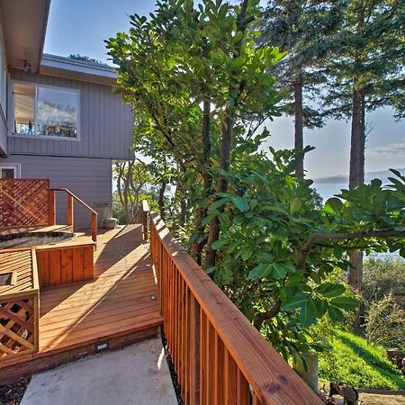 Luxury Studio With Hot Tub And San Francisco Bay Views Richmond Dış mekan fotoğraf