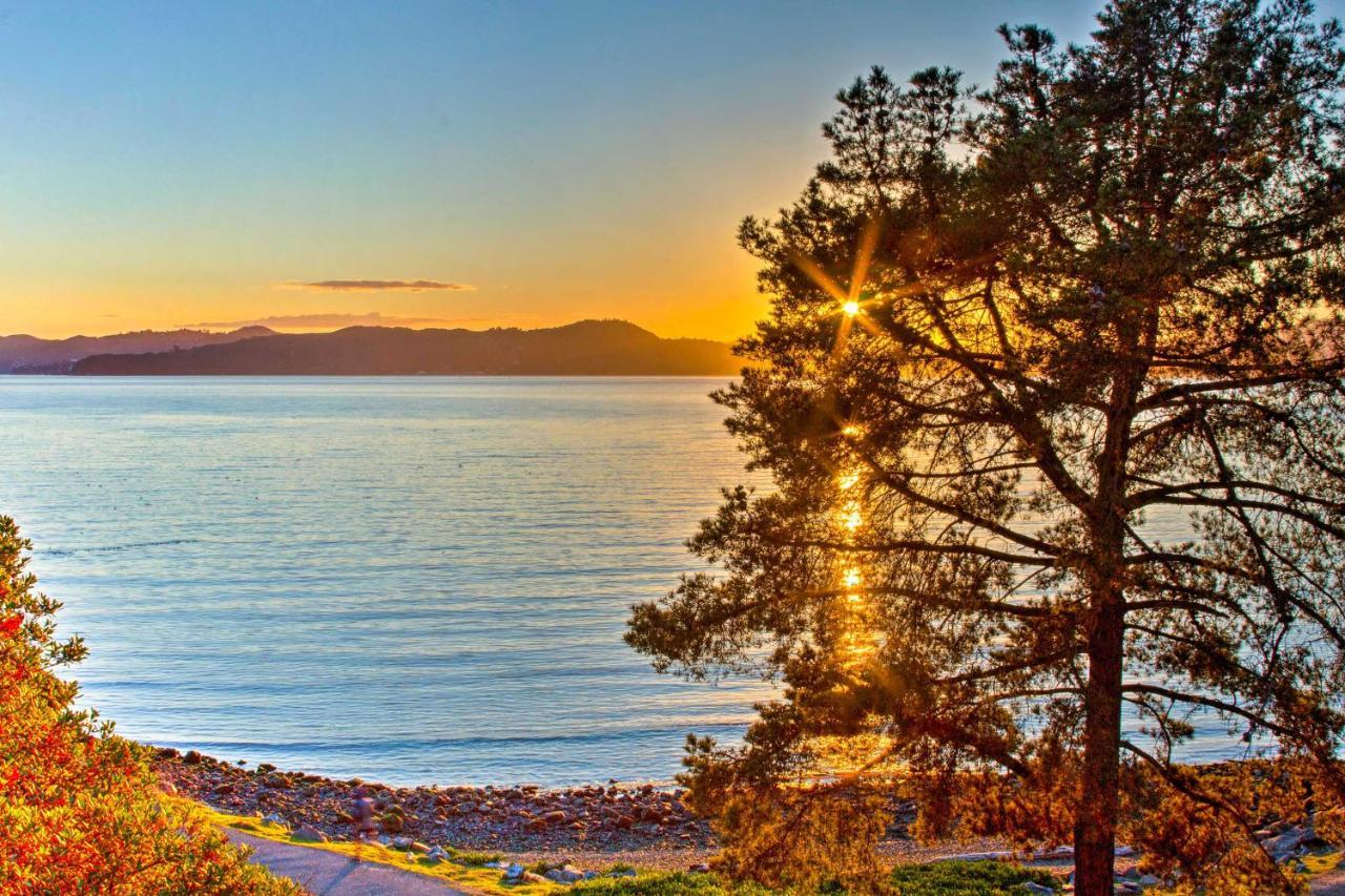Luxury Studio With Hot Tub And San Francisco Bay Views Richmond Dış mekan fotoğraf